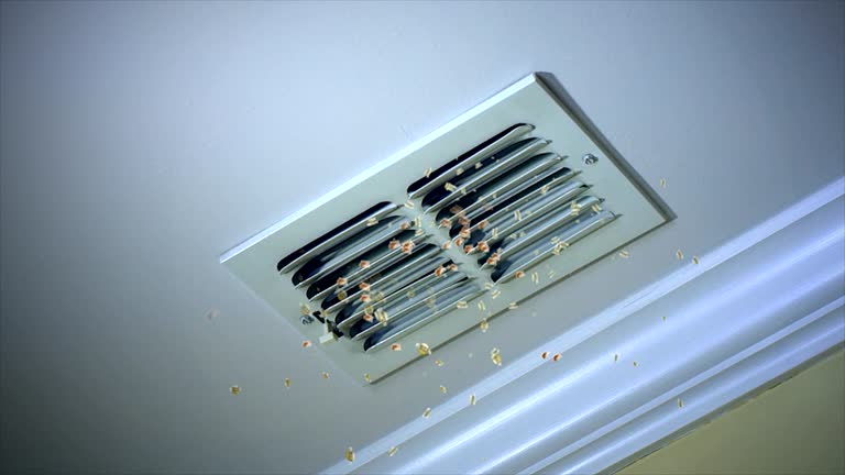 Best Affordable Air Duct Cleaning  in James City, NC